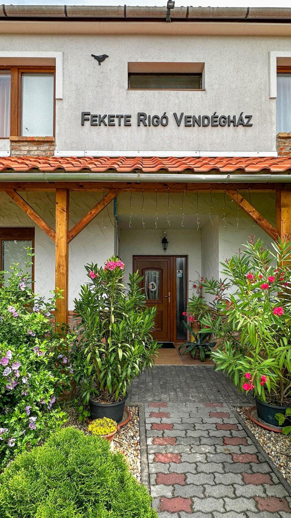 Fekete Rigo Vendeghaz Apartment Egerszalok Bagian luar foto